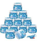 Amazon.com: Clorox Fraganzia Aircare Beads Twin Pack Two 12oz